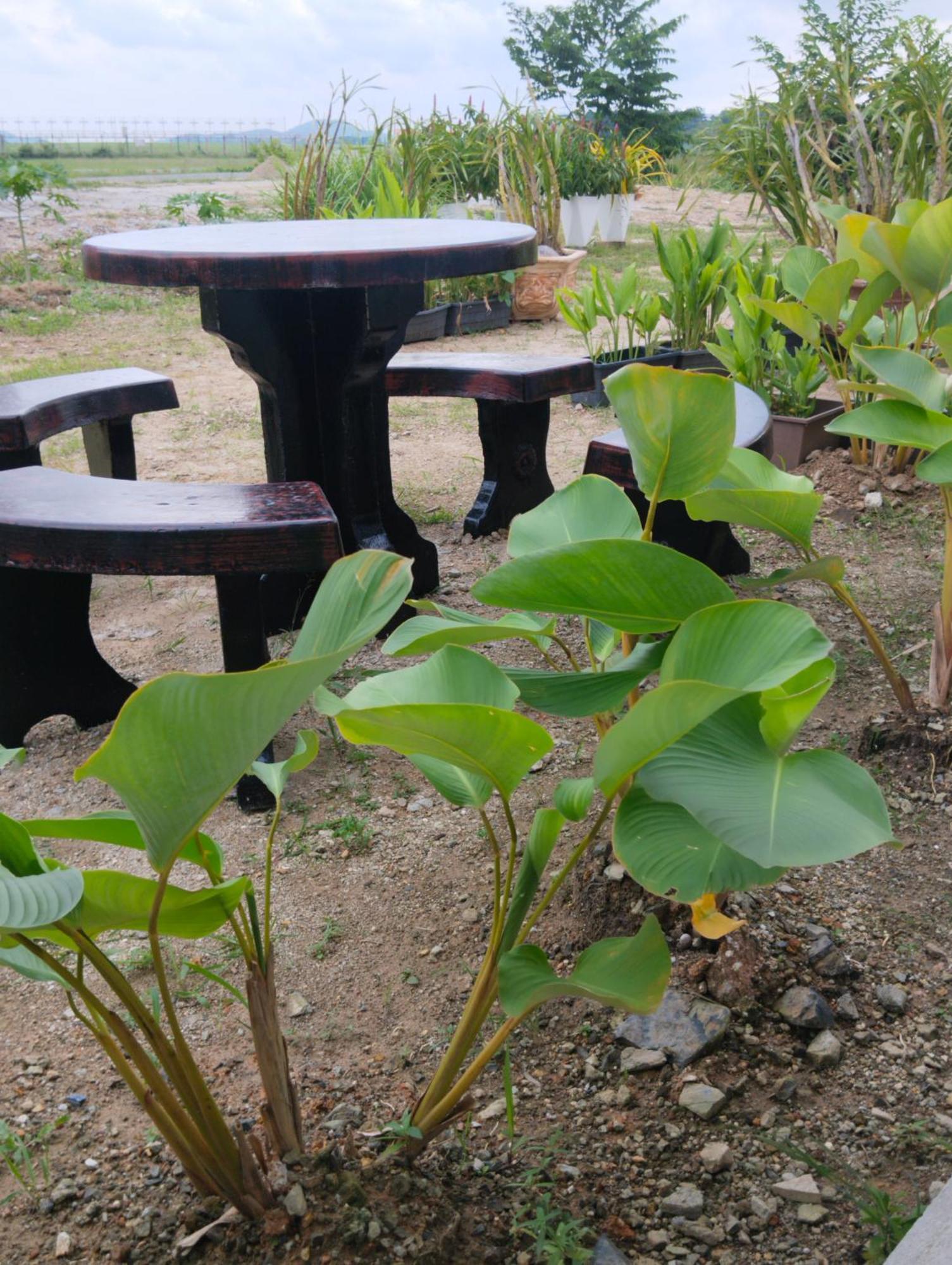 Adeeva Langkawi